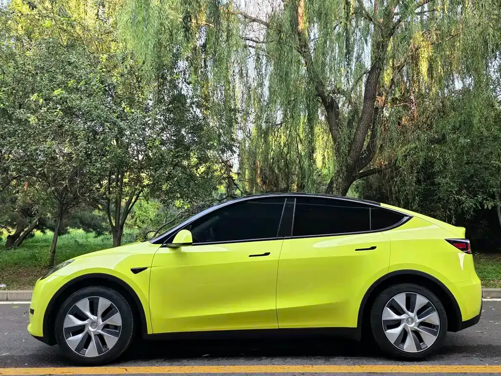 Tesla Model Y — фото 10