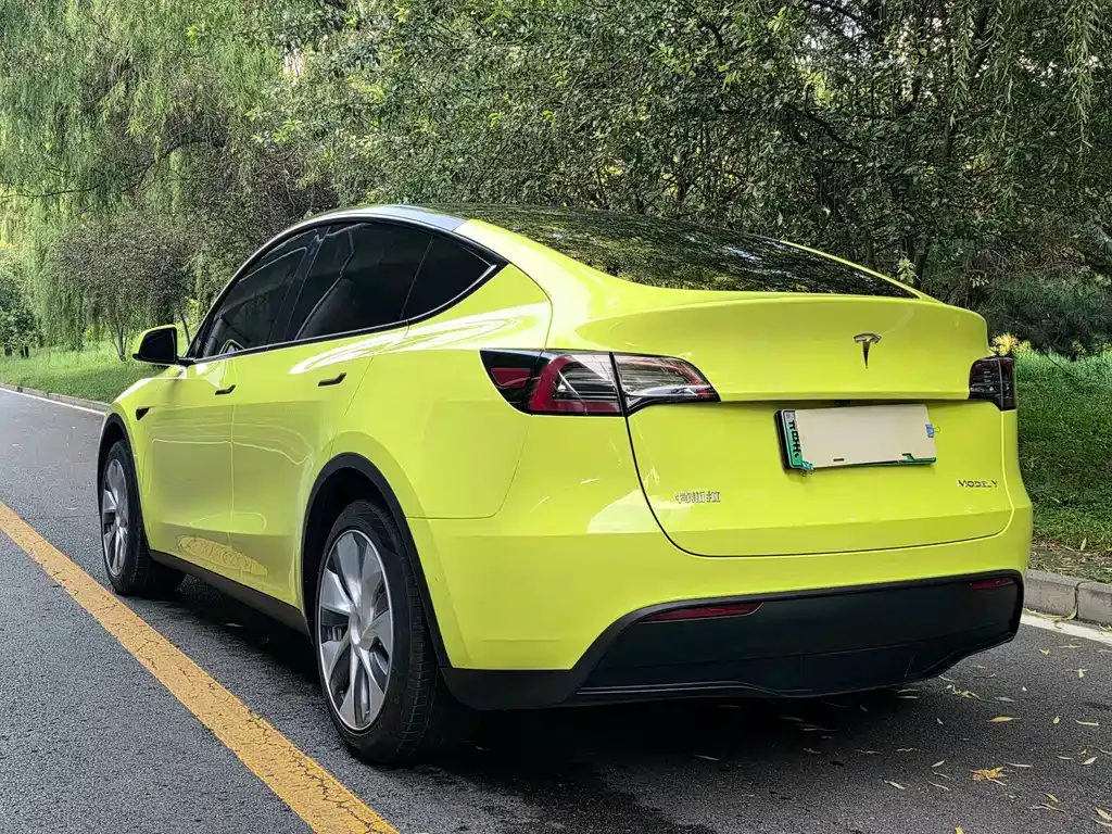 Tesla Model Y — фото 8