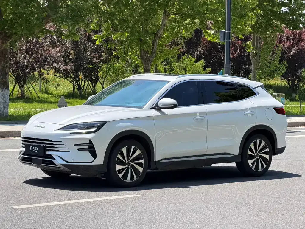 BYD PLUS New Energy — фото 1