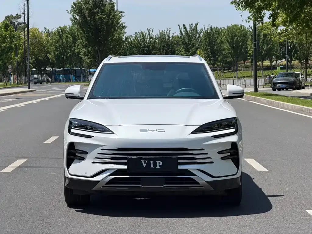 BYD PLUS New Energy — фото 8