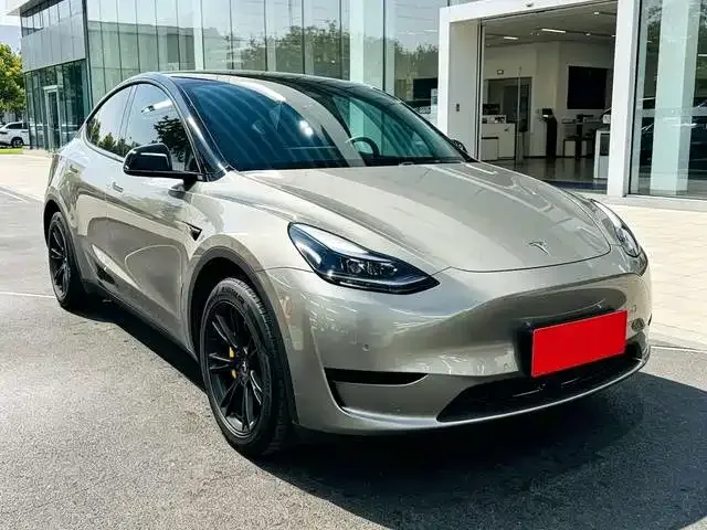 Tesla Model Y — фото 3