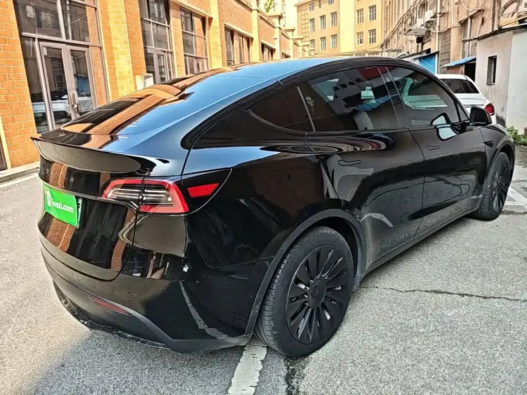 Tesla Model Y — фото 10