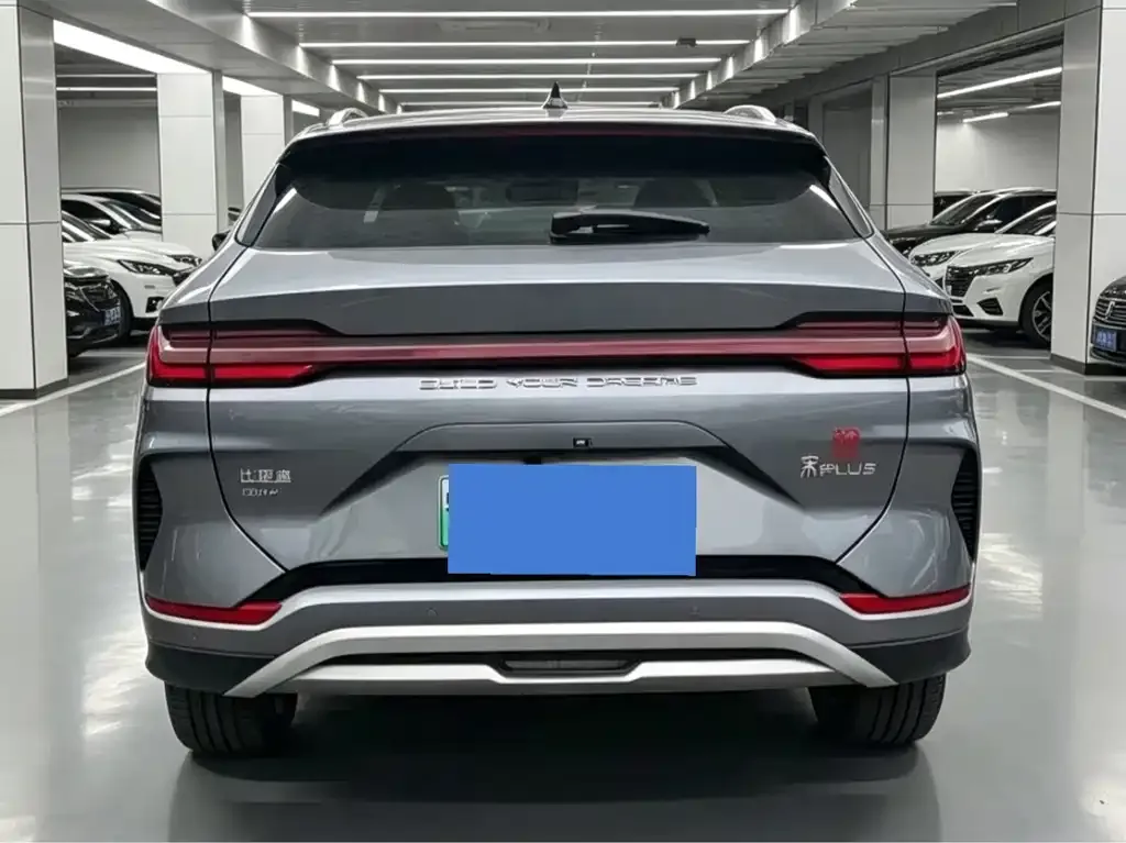 BYD PLUS New Energy — фото 2