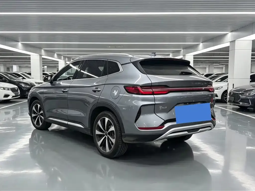BYD PLUS New Energy — фото 9