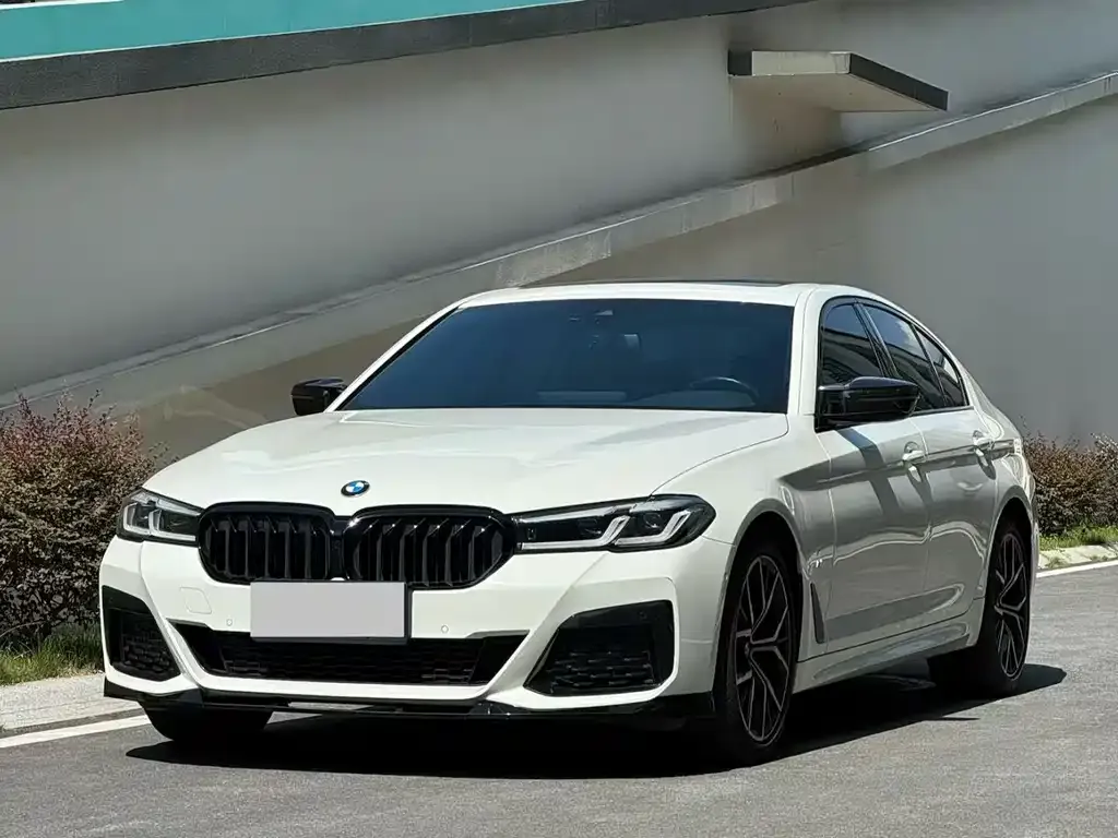 BMW 5 Series (Import) — фото 1