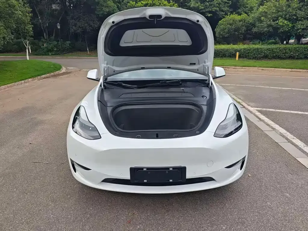 Tesla Model Y — фото 5