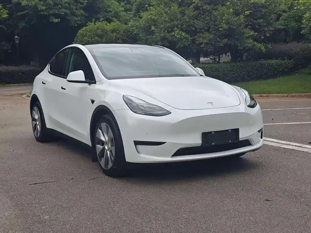 Tesla Model Y — фото 10