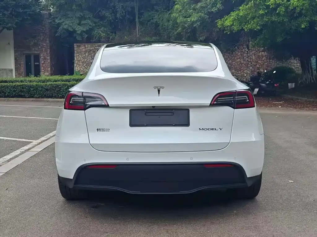Tesla Model Y — фото 6