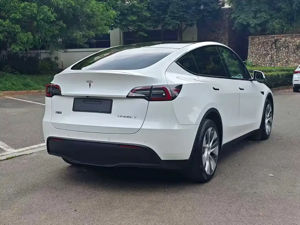 Tesla Model Y — фото 9