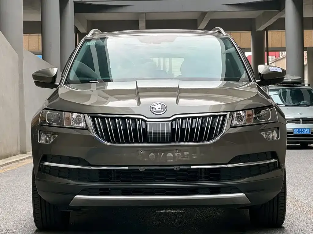 Skoda Karoq — фото 7