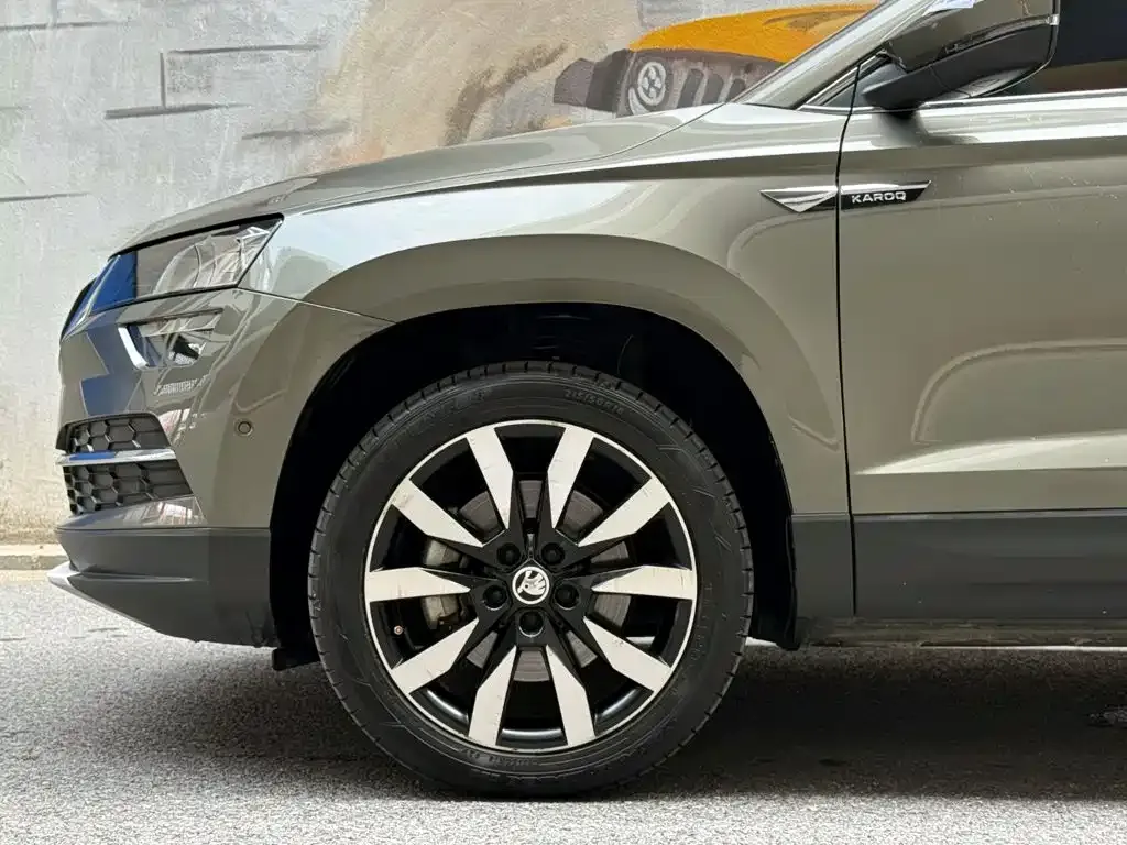 Skoda Karoq — фото 8