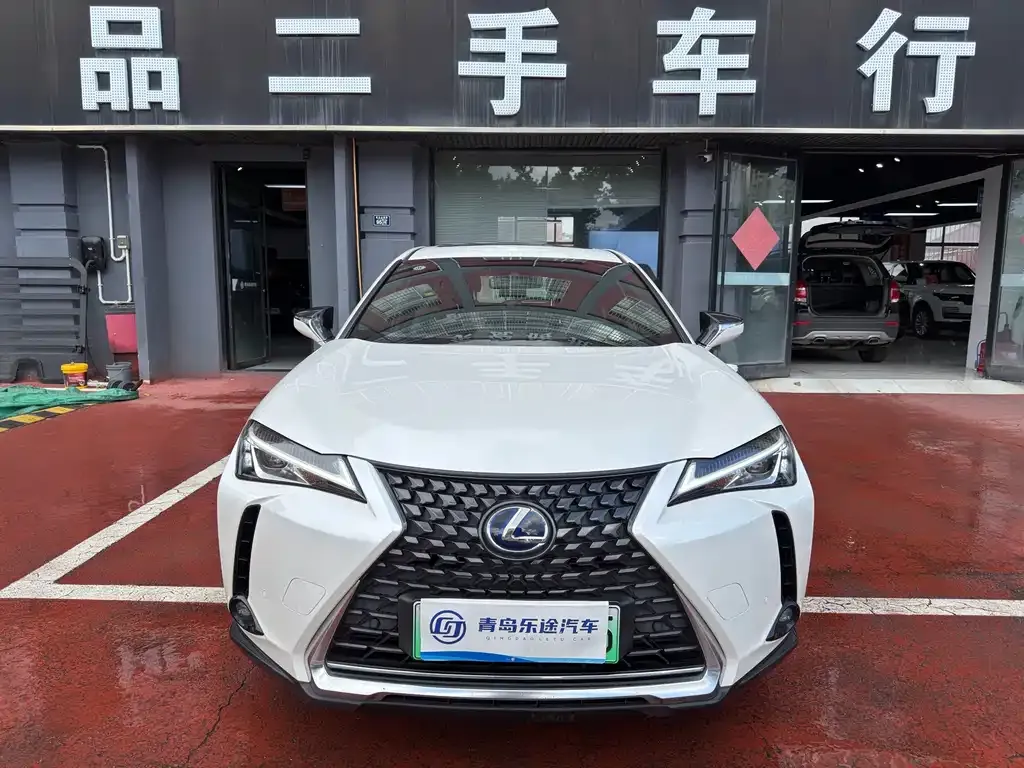 Lexus UX New Energy — фото 1