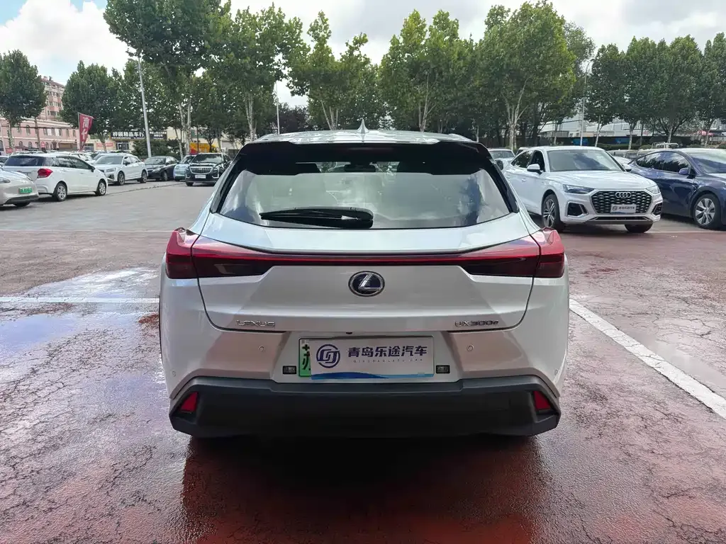 Lexus UX New Energy — фото 10