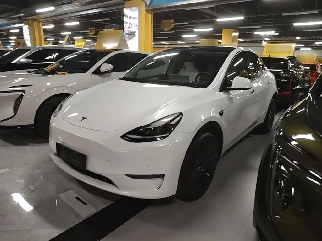 Tesla Model Y — фото 1