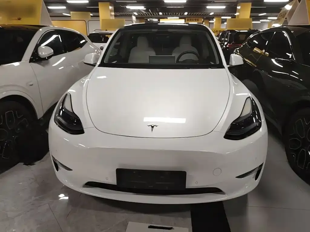 Tesla Model Y — фото 3