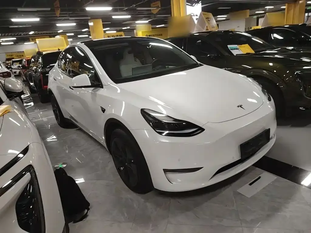 Tesla Model Y — фото 10
