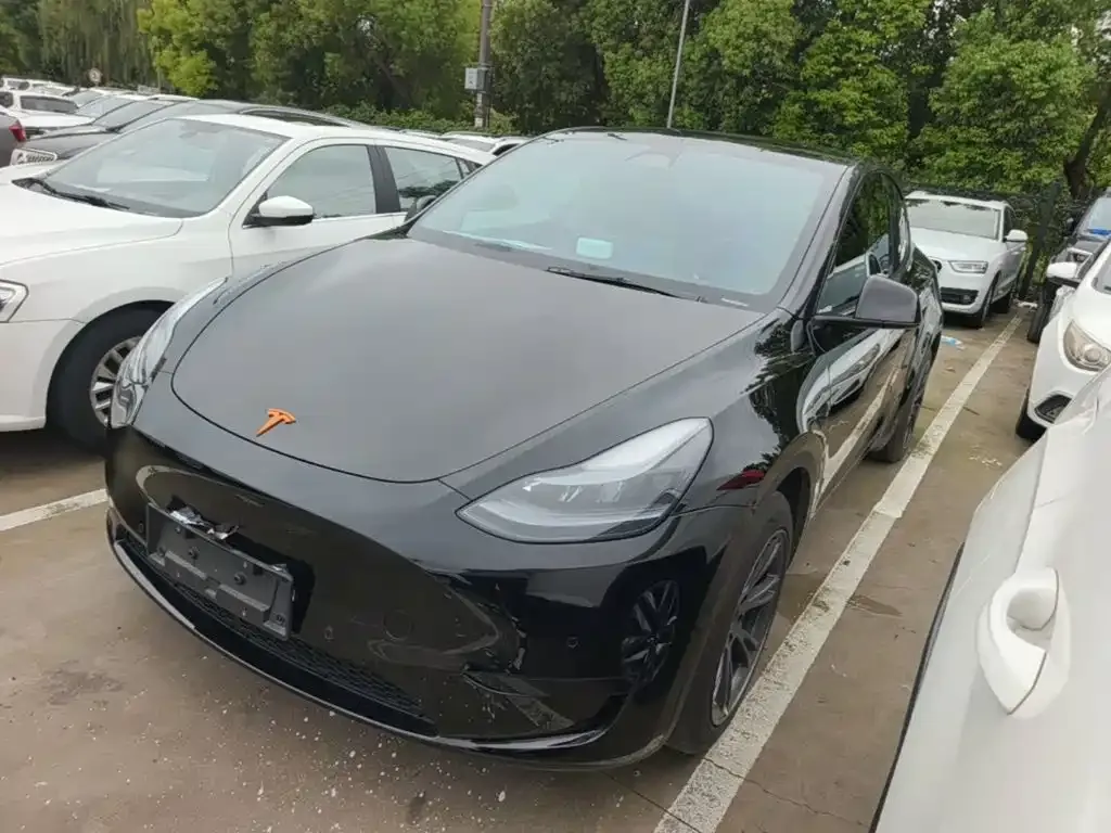 Tesla Model Y — фото 10