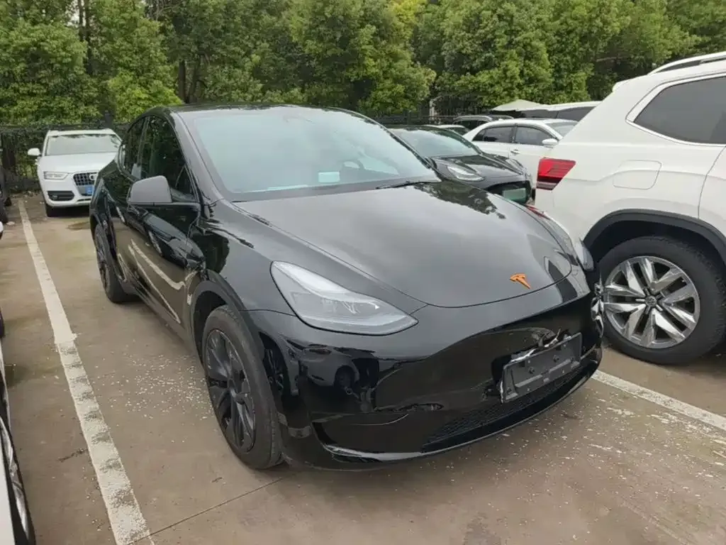 Tesla Model Y — фото 7