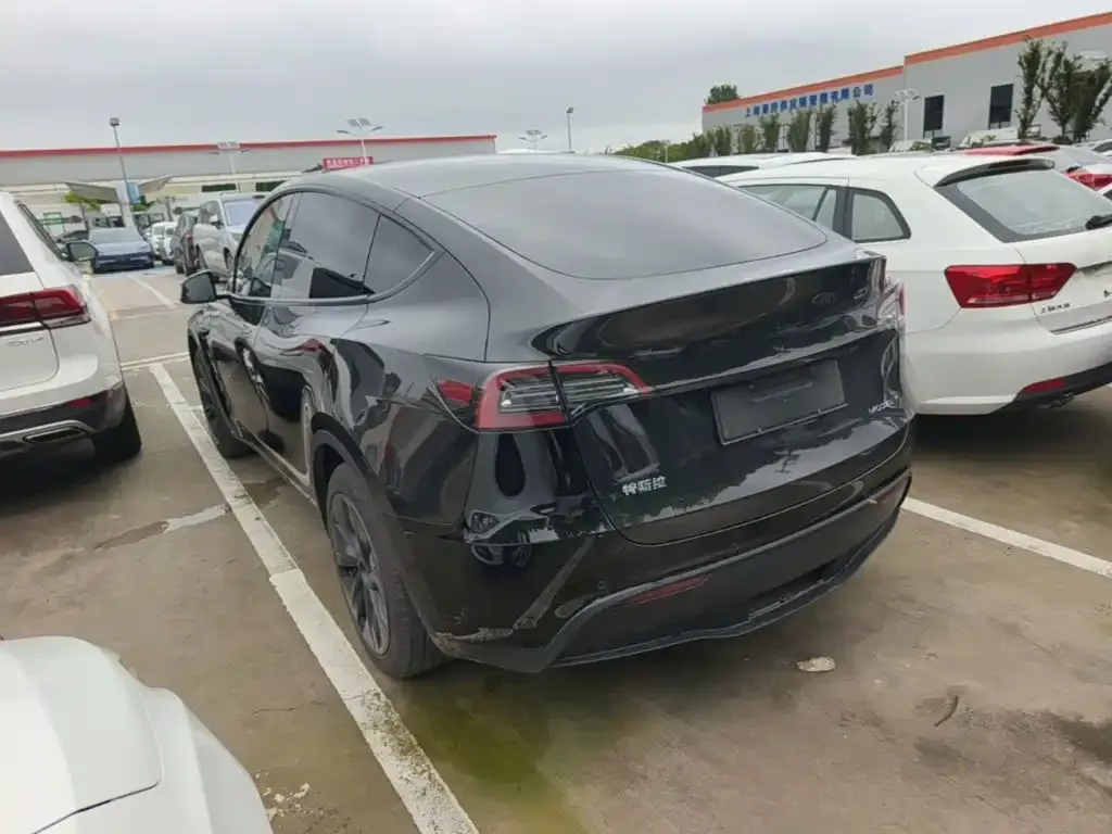 Tesla Model Y — фото 3