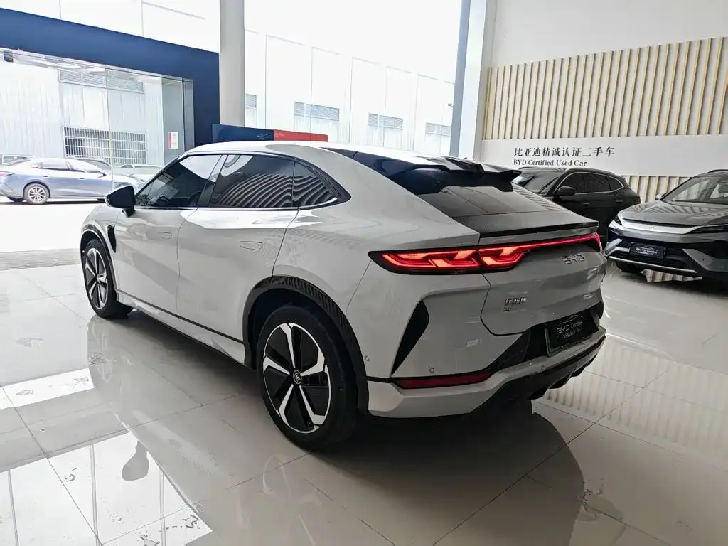 BYD L EV — фото 10