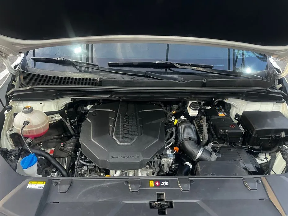 Kia Carnival — фото 10