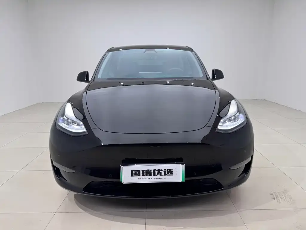 Tesla Model Y — фото 2