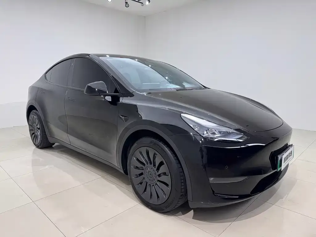 Tesla Model Y — фото 10
