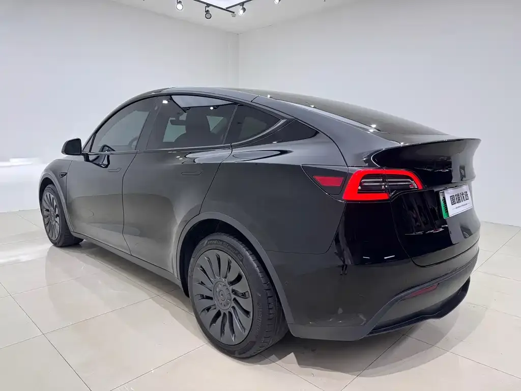 Tesla Model Y — фото 5