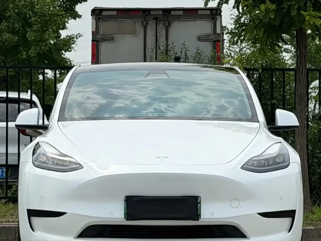 Tesla Model Y — фото 1