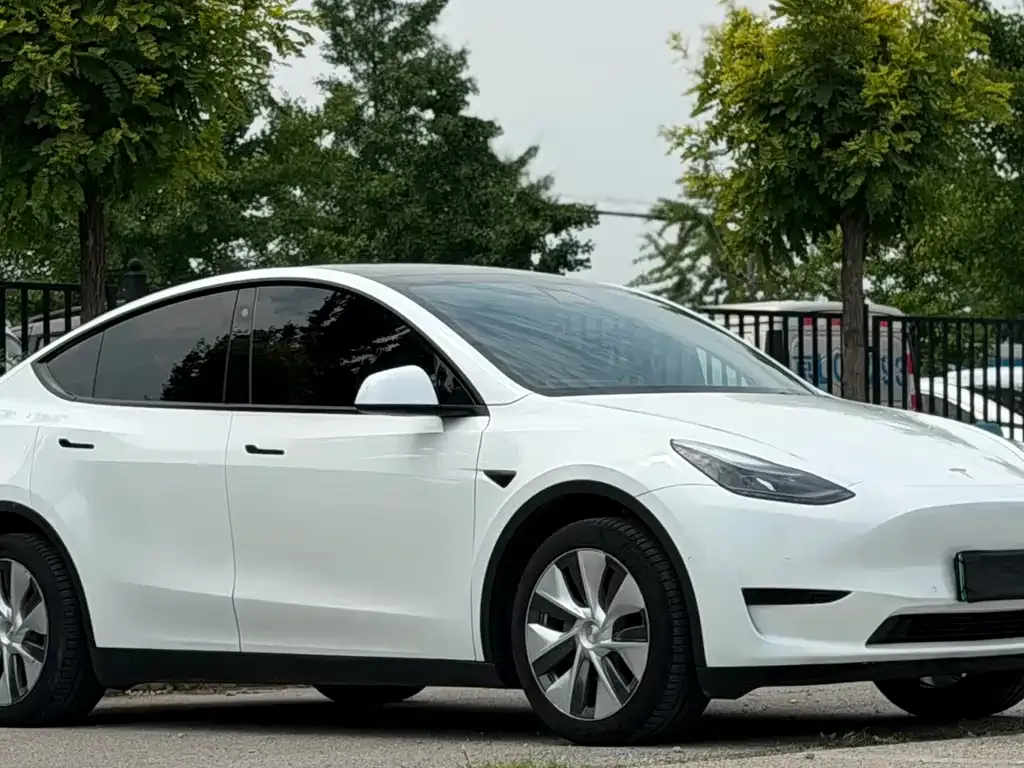 Tesla Model Y — фото 9