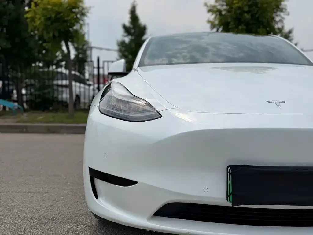 Tesla Model Y — фото 2