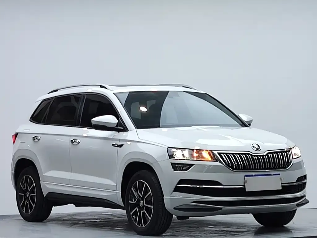Skoda Karoq — фото 5