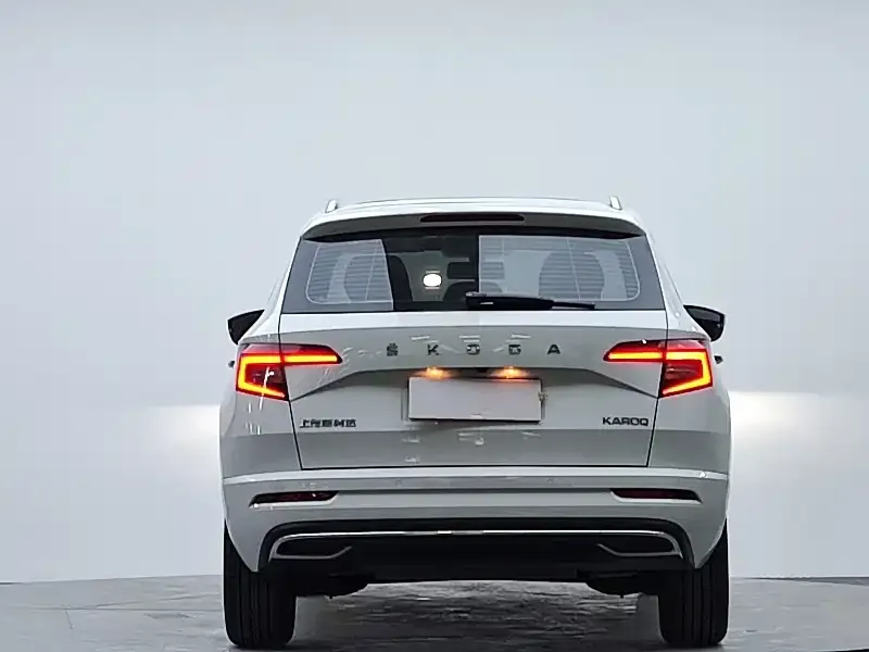 Skoda Karoq — фото 7