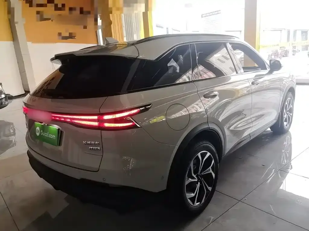 Haval Xiaolong MAX — фото 8