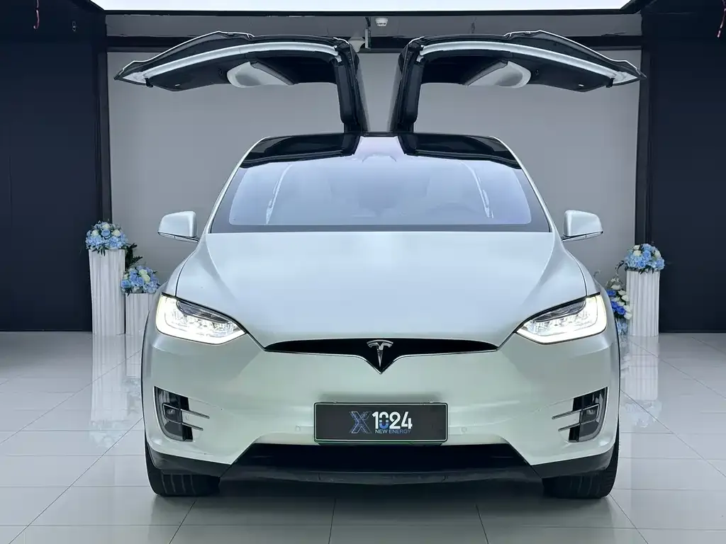 Tesla Model X — фото 2