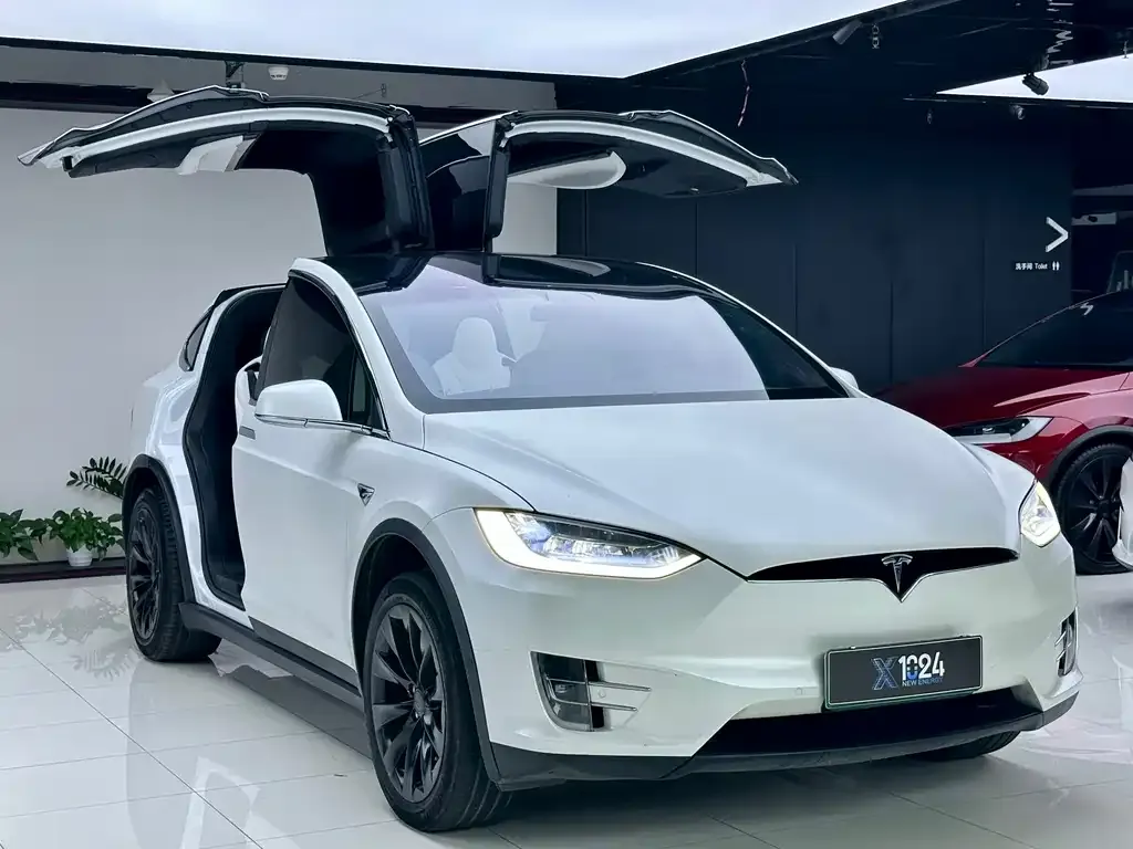 Tesla Model X — фото 7