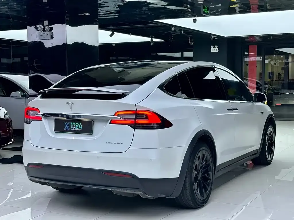 Tesla Model X — фото 10