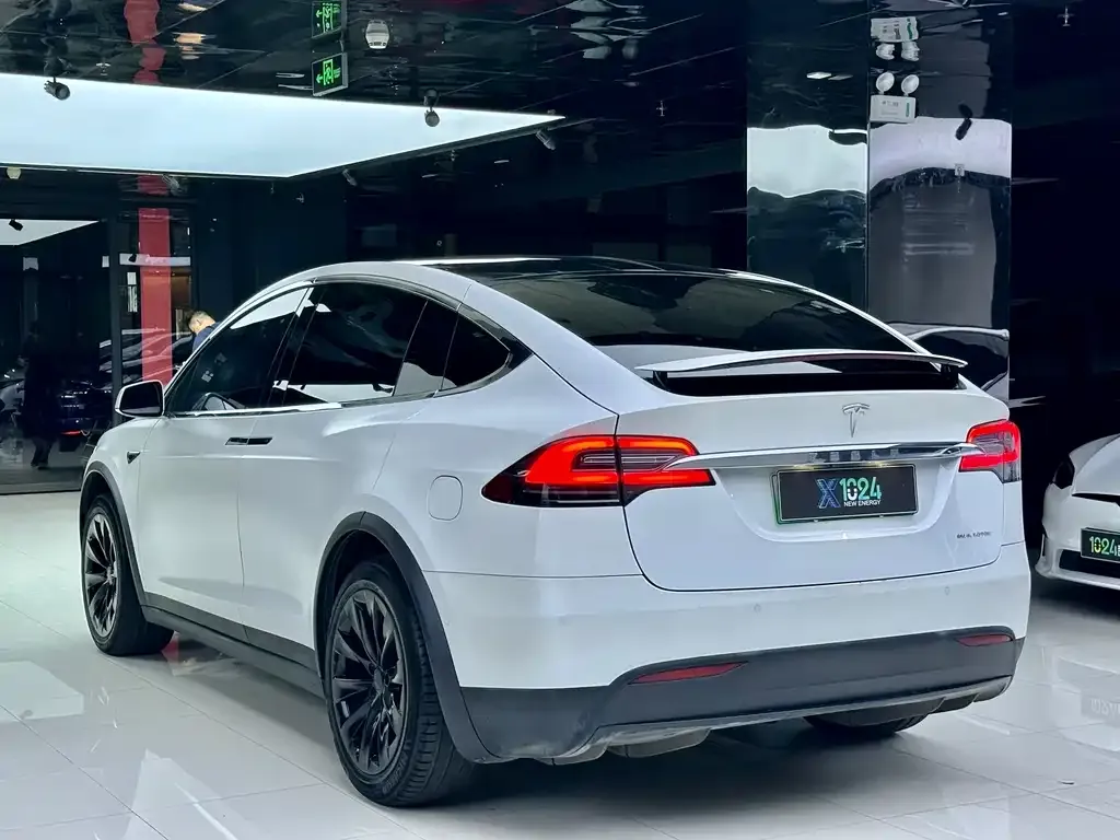 Tesla Model X — фото 9