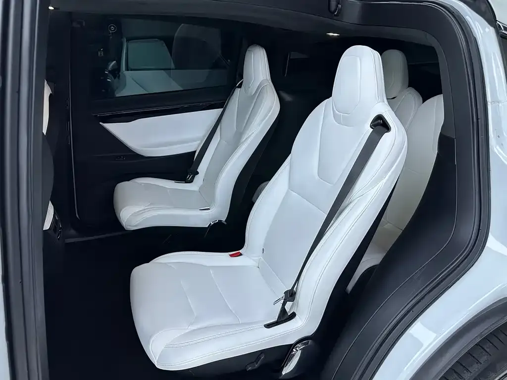 Tesla Model X — фото 8