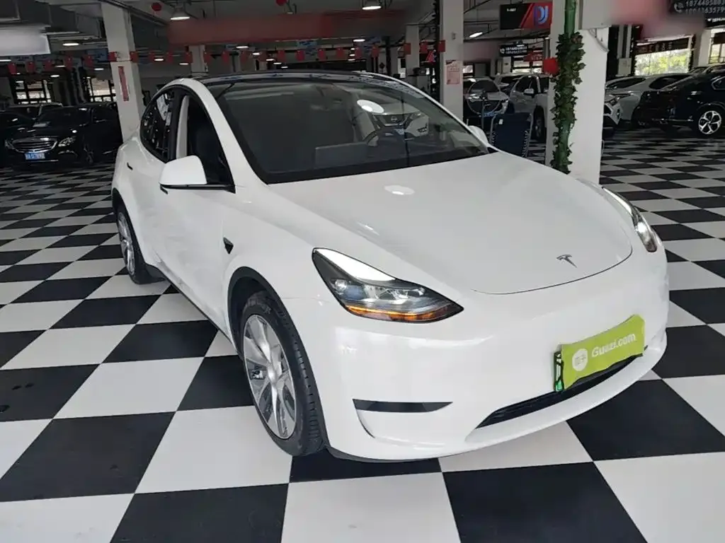 Tesla Model Y — фото 10