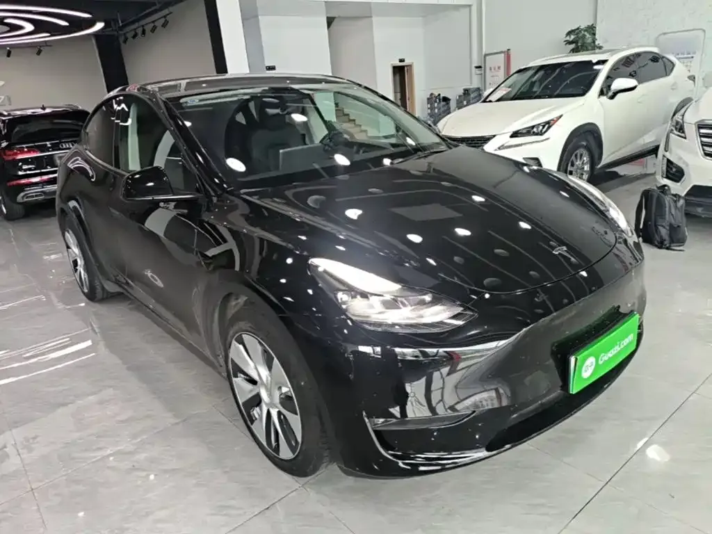 Tesla Model Y — фото 8