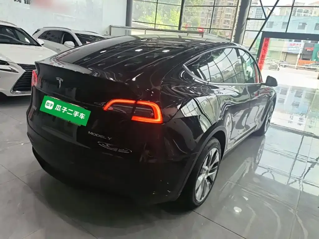 Tesla Model Y — фото 10