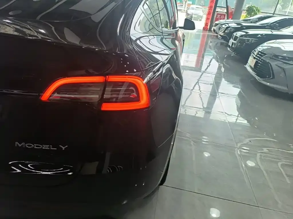 Tesla Model Y — фото 5