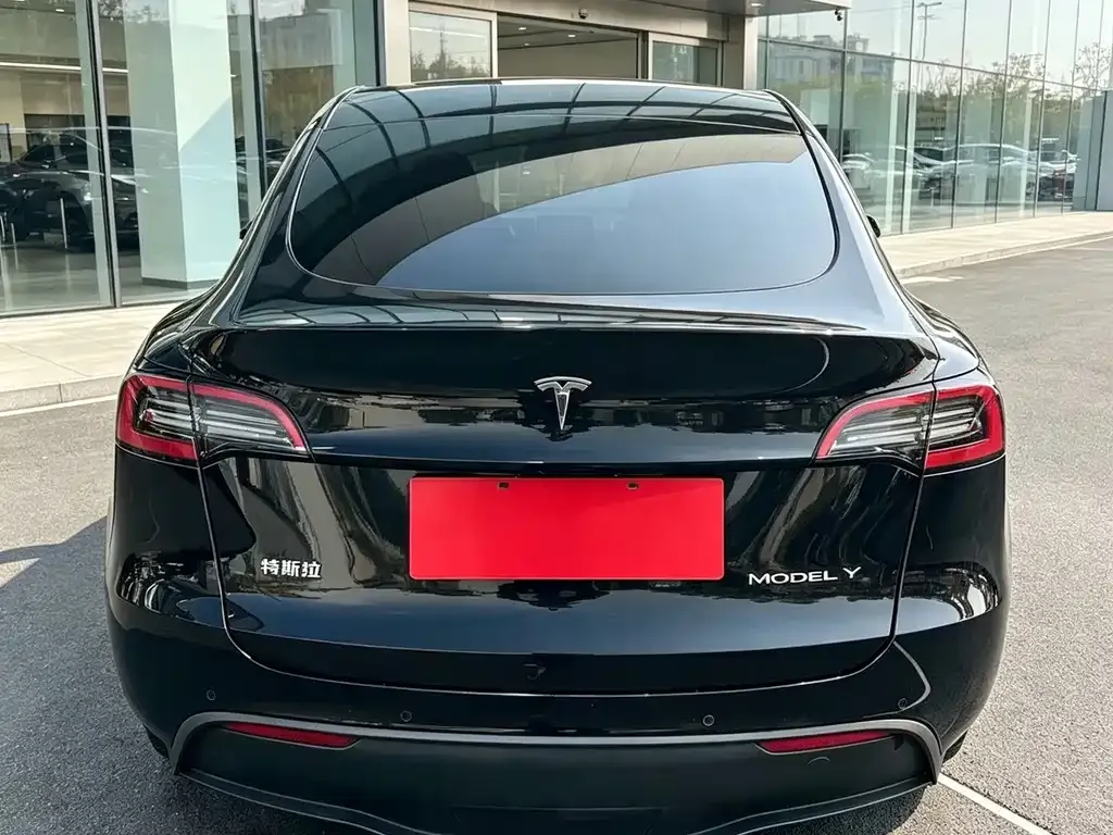 Tesla Model Y — фото 4