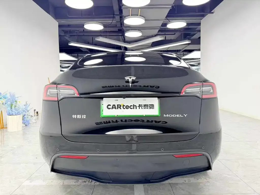 Tesla Model Y — фото 2