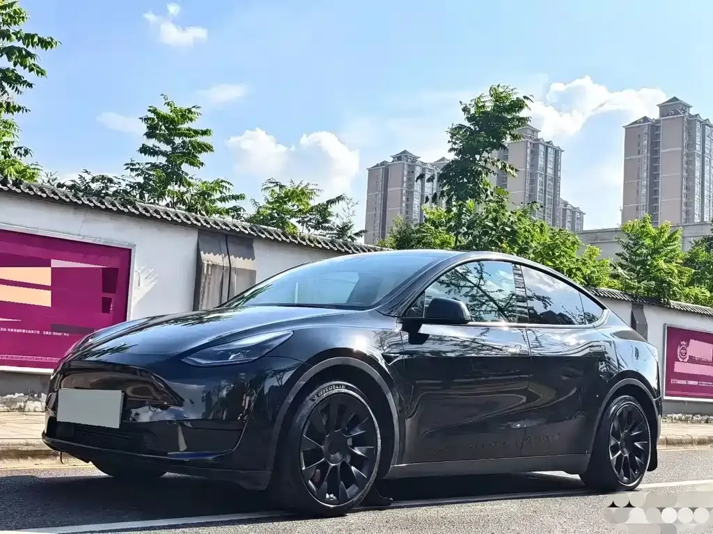 Tesla Model Y — фото 1
