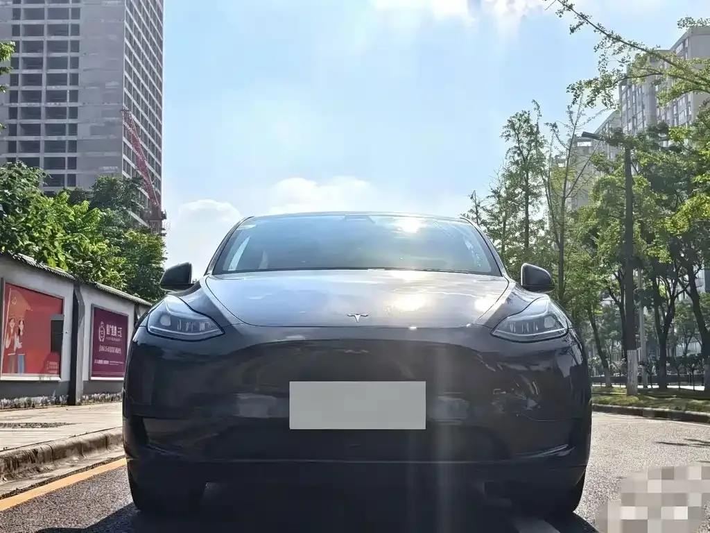 Tesla Model Y — фото 5