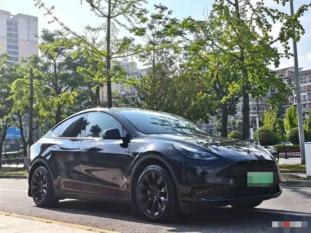 Tesla Model Y — фото 8