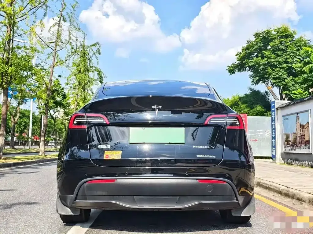 Tesla Model Y — фото 6