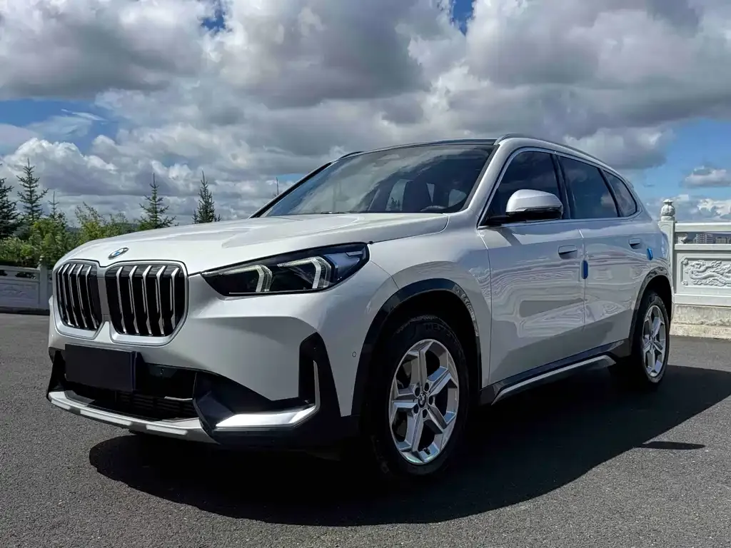 BMW X1 — фото 1